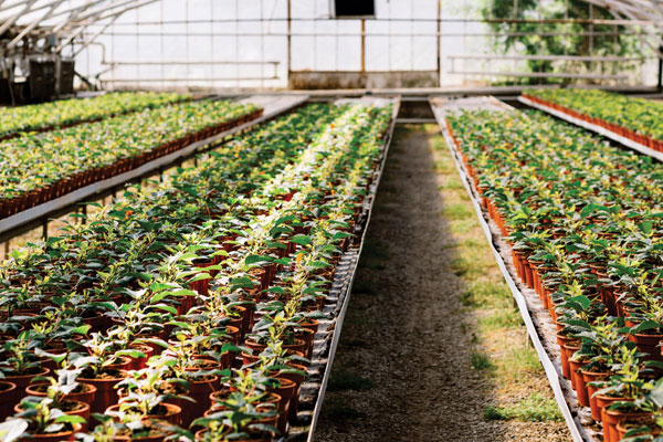 Scheme - Agriculture Infrastructure Fund