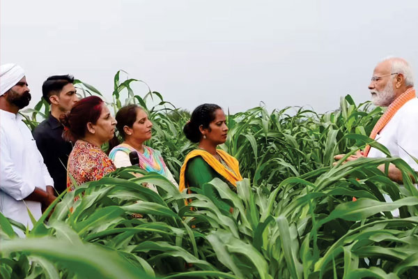 Scheme - Pradhan Mantri Kisan Samman Nidhi