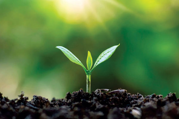 Scheme - Soil Health Card