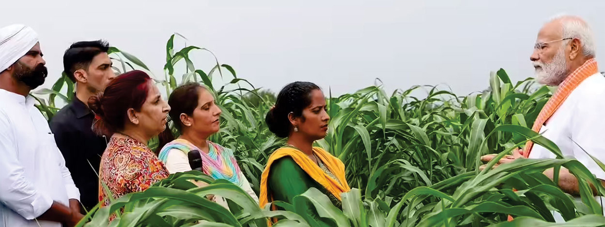 Scheme - Pradhan Mantri Kisan Samman Nidhi
