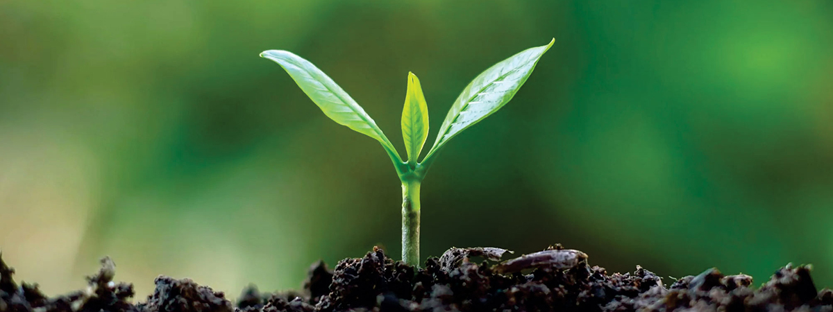 Scheme - Soil Health Card